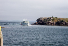 604: The "William &amp;amp; Margaret" entering Red Island harbour. (2003) [courtesy of Stephen Mulrooney]